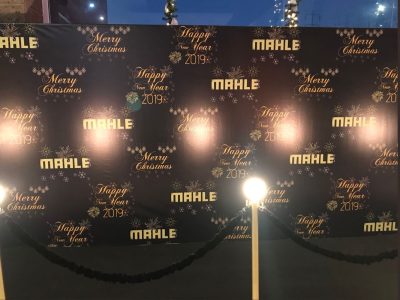 Renta de Alfombra y Set Fotográfico