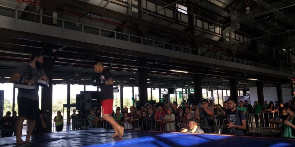 Nave Lewis Ala Maestranza