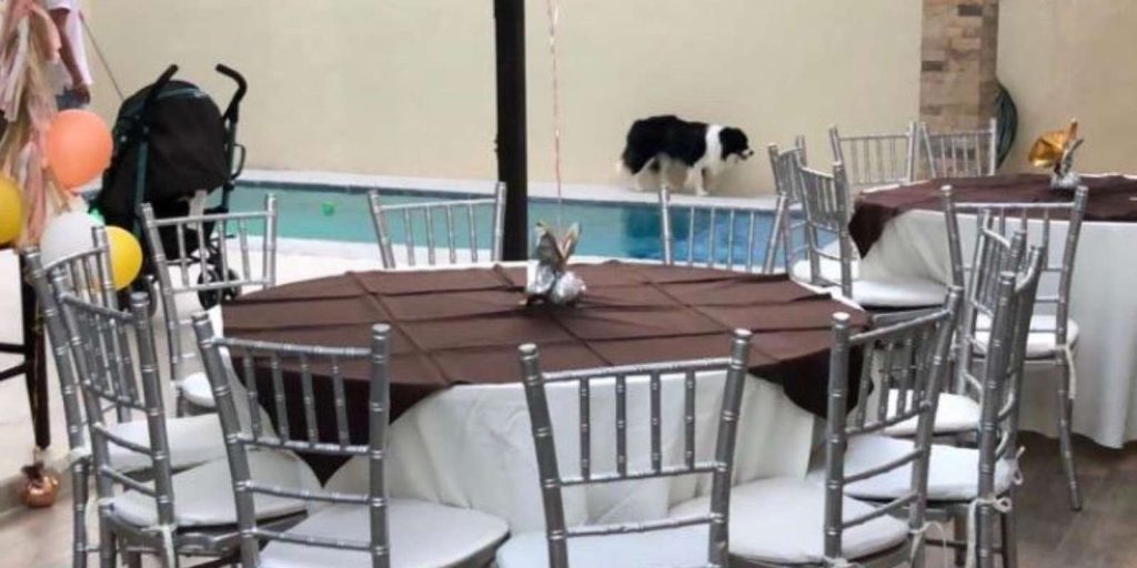 Renta de Paquete de Mesa Redonda con 10 Sillas Tiffany y Mantel