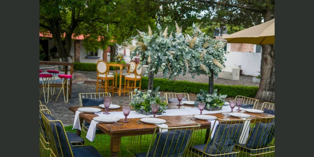 Renta de Silla Camila en Saltillo