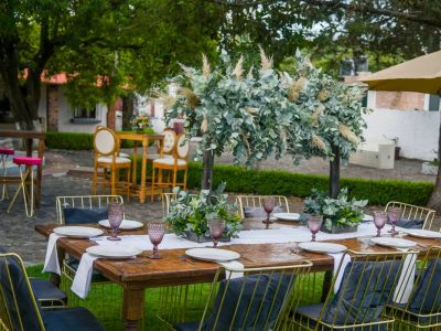 Renta de Silla Camila en Saltillo