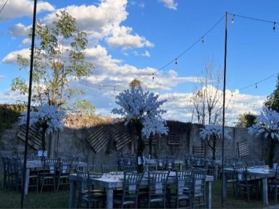 MAERE Salón & Jardín