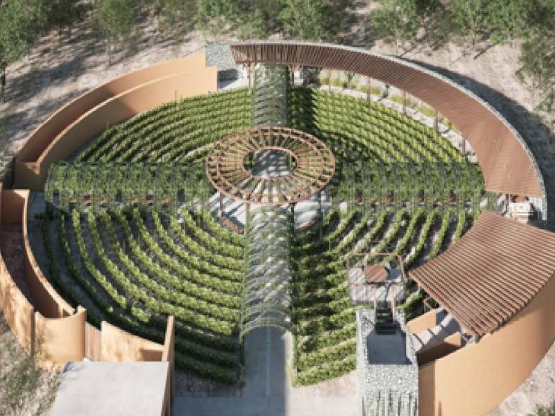 Viñedo Hacienda el Secreto