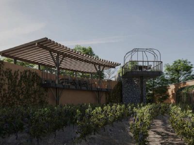 Viñedo Hacienda el Secreto