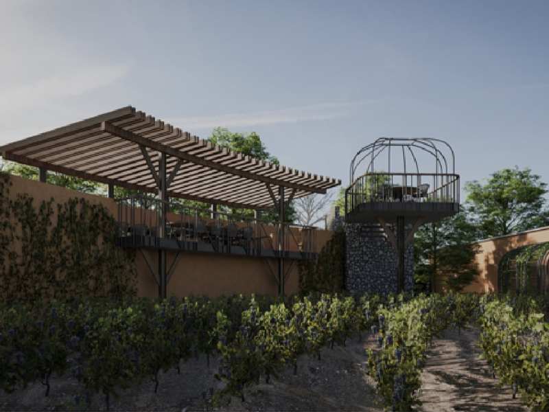 Viñedo Hacienda el Secreto