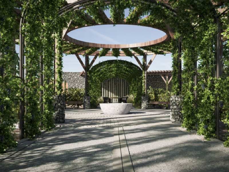 Viñedo Hacienda el Secreto