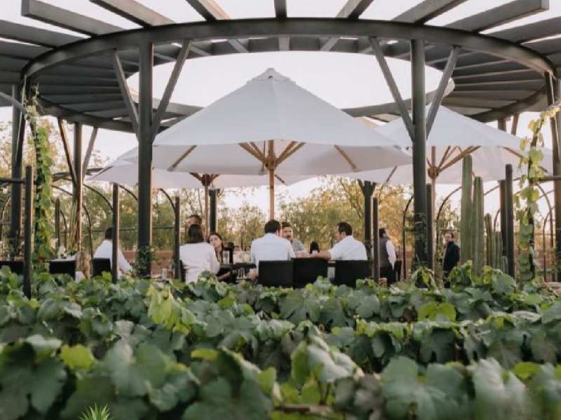 Viñedo Hacienda el Secreto