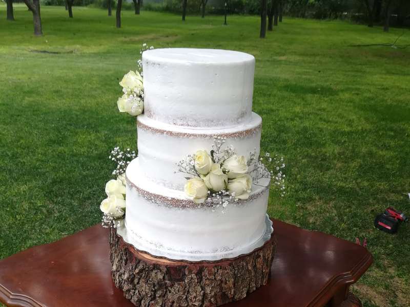 Pastel para 200 Personas Saltillo