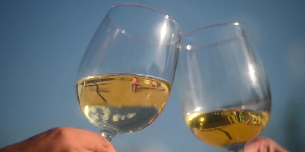 Renta para Copa de Agua o Vino Tinto