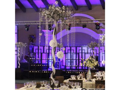 Árbol Decorativo Paquete 15 Piezas