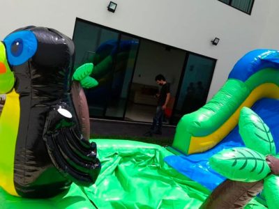 Renta de Inflable "El Tucanzito"