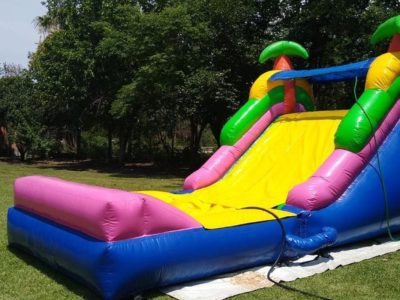 Renta de Inflable Palmeras Mediano