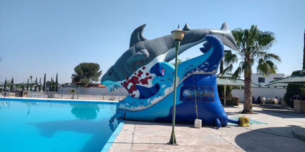 Renta de Inflable Shark Gris