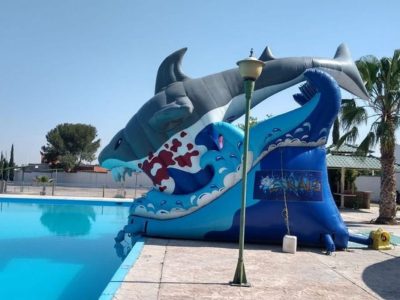 Renta de Inflable Shark Gris
