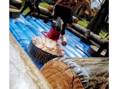 Renta de Tronco loco giratorio