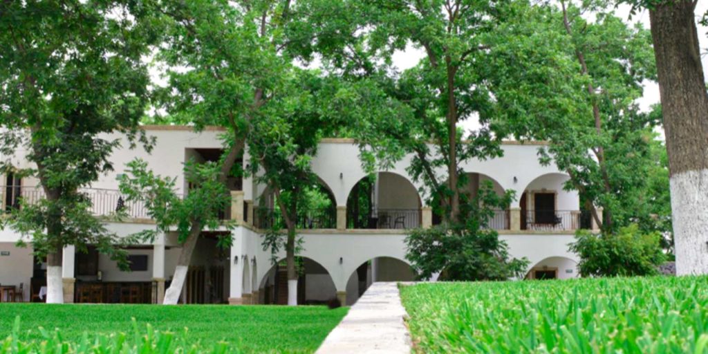 Los Viñedos Gran Hotel