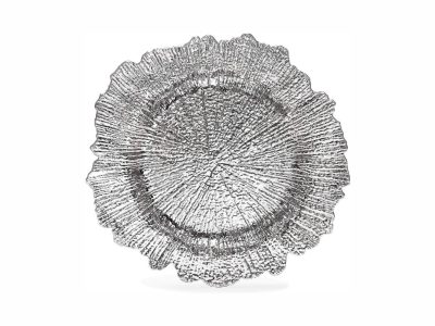 Renta de Bajo Plato Splash en Saltillo