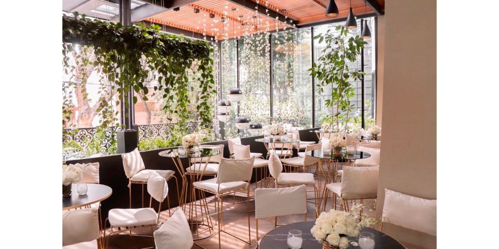 Renta de Sillas Tipo Smith en Saltillo