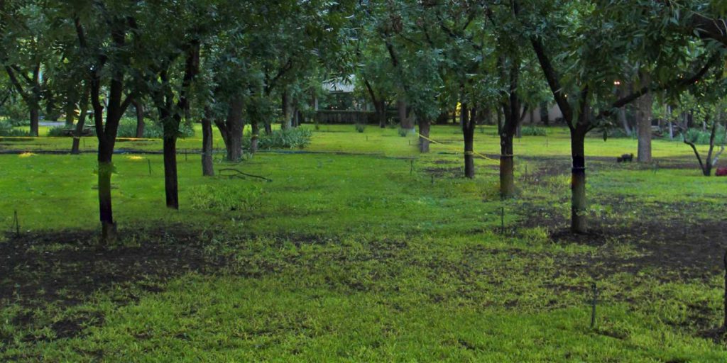 Fontana Jardín & Recepciones