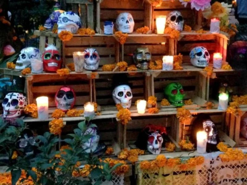 Fiestas Temática del Dia de Muertos