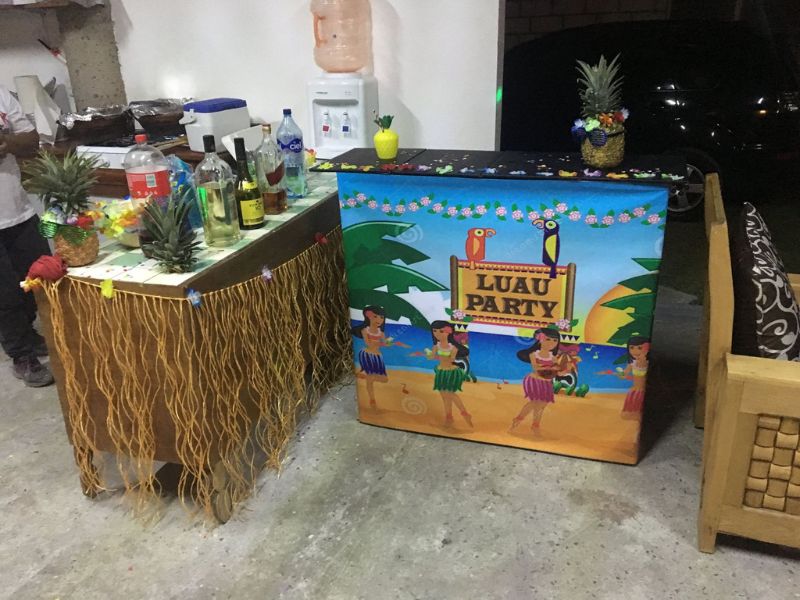 Fiestas Temática Hawaiana para eventos