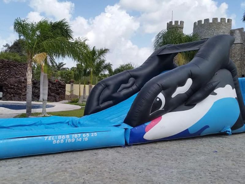 Inflable acuático Orca