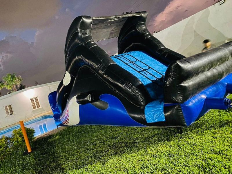 Inflable acuático Orca