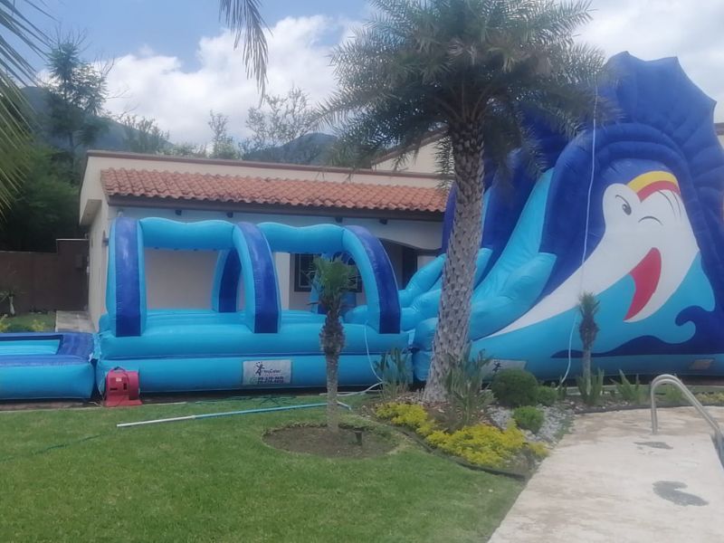 Inflable acuático Pez espada