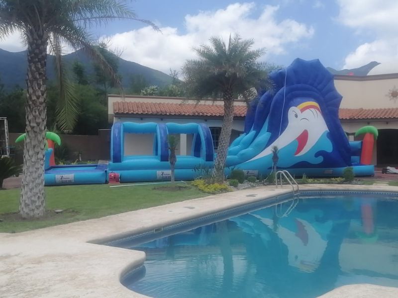 Inflable acuático Pez espada